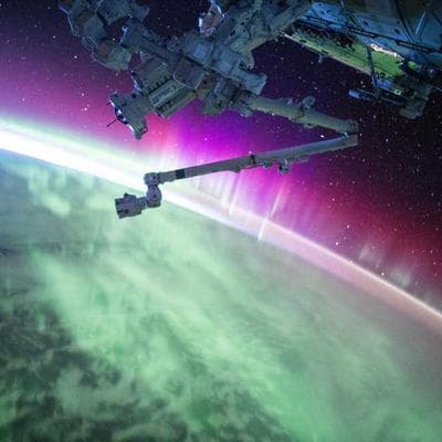 Café Artesanal Panamá