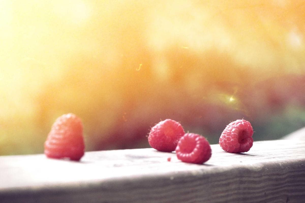 Pañuelo seda estampado panamá