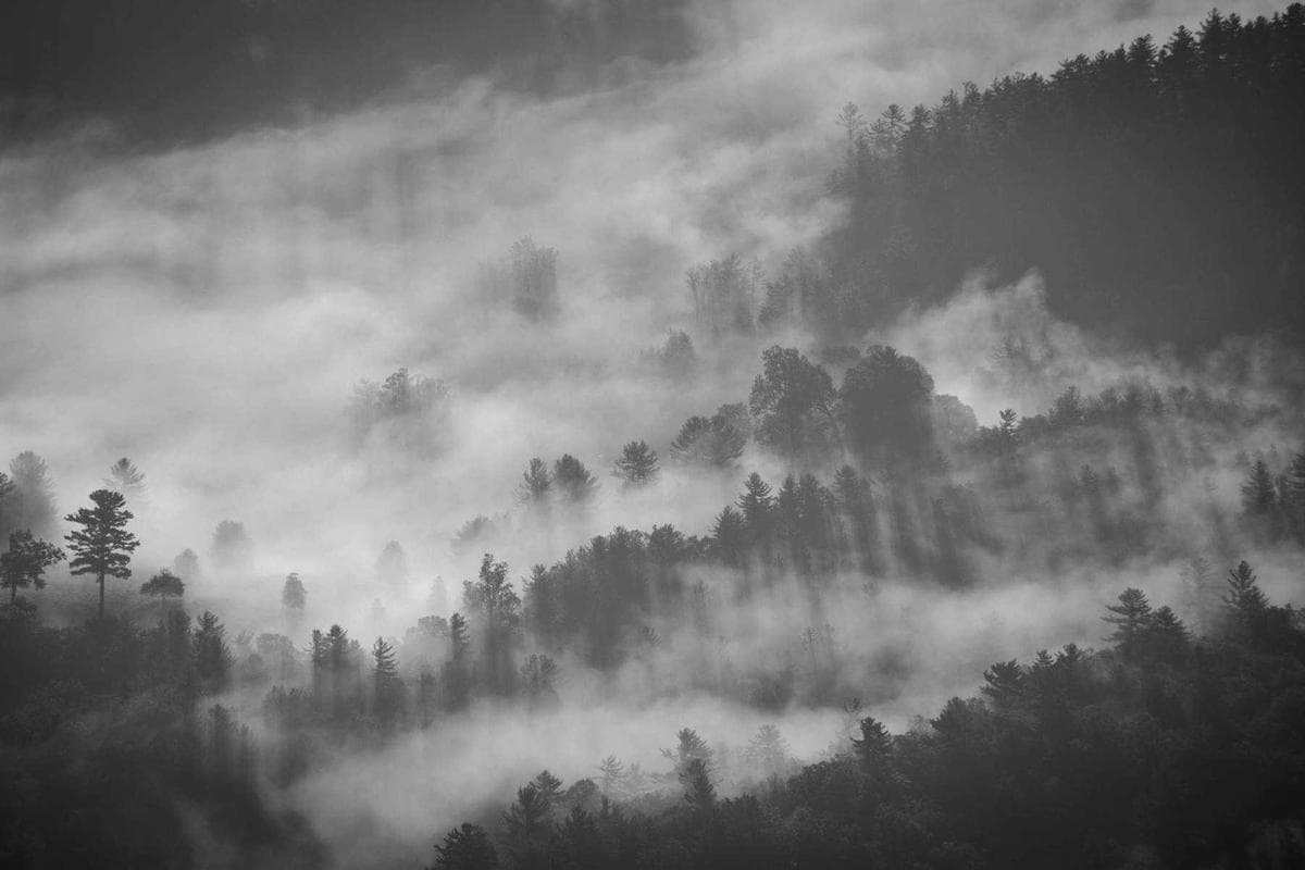 Panel mola detalle hilos