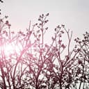 Hecho en Panamá Moda