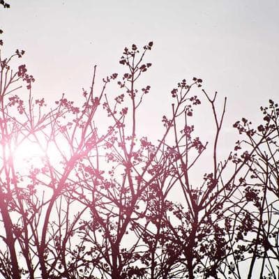 Hecho en Panamá Moda